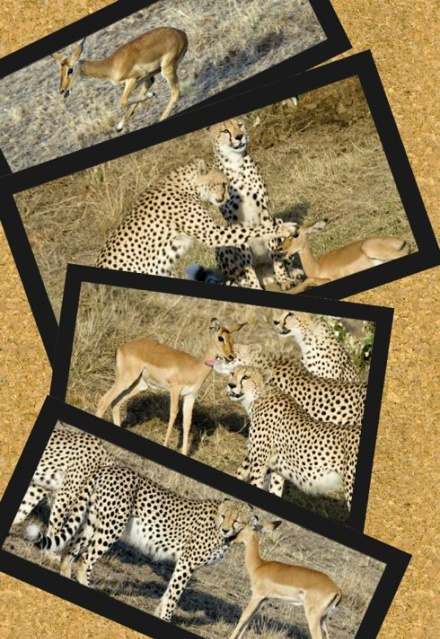 ͼƬ��������´��ڴ򿪲鿴